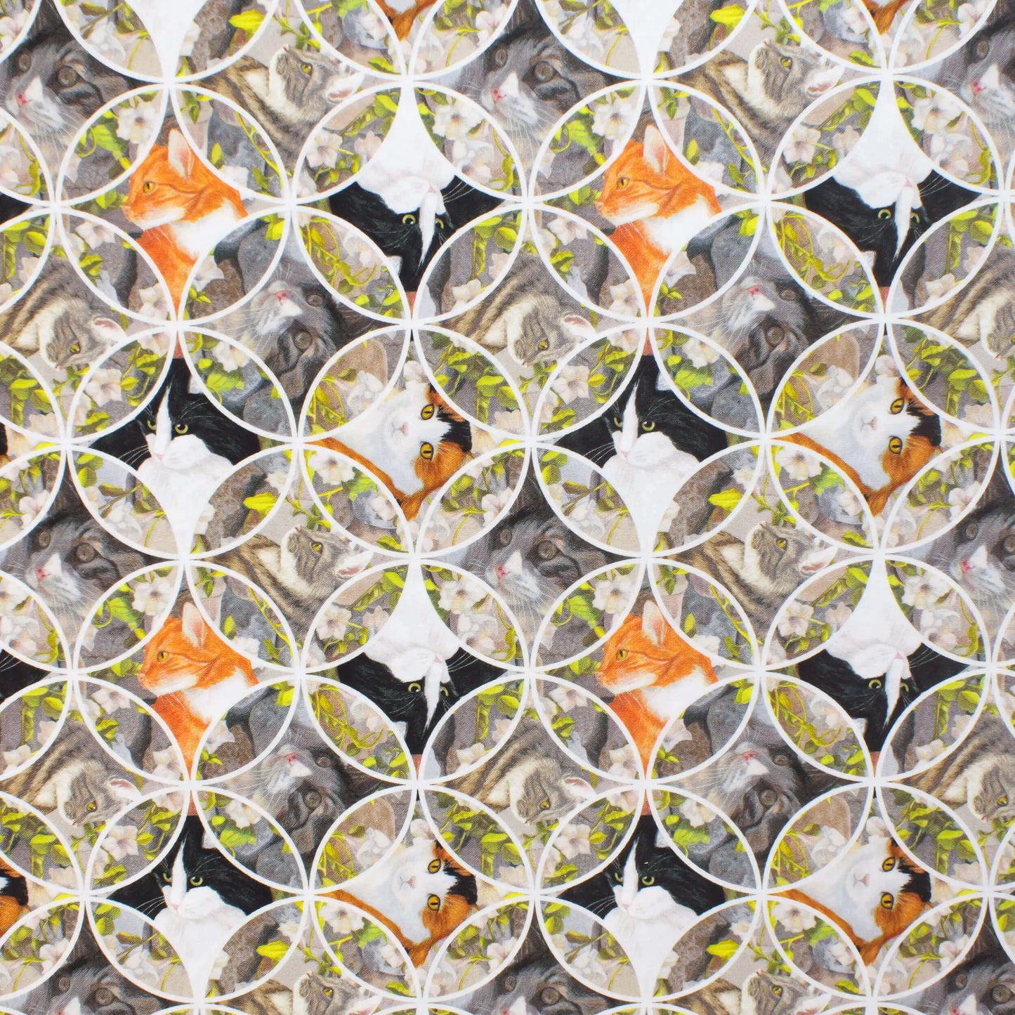 Studio E | Whiskars Among Petals | Cat Circles £16pm