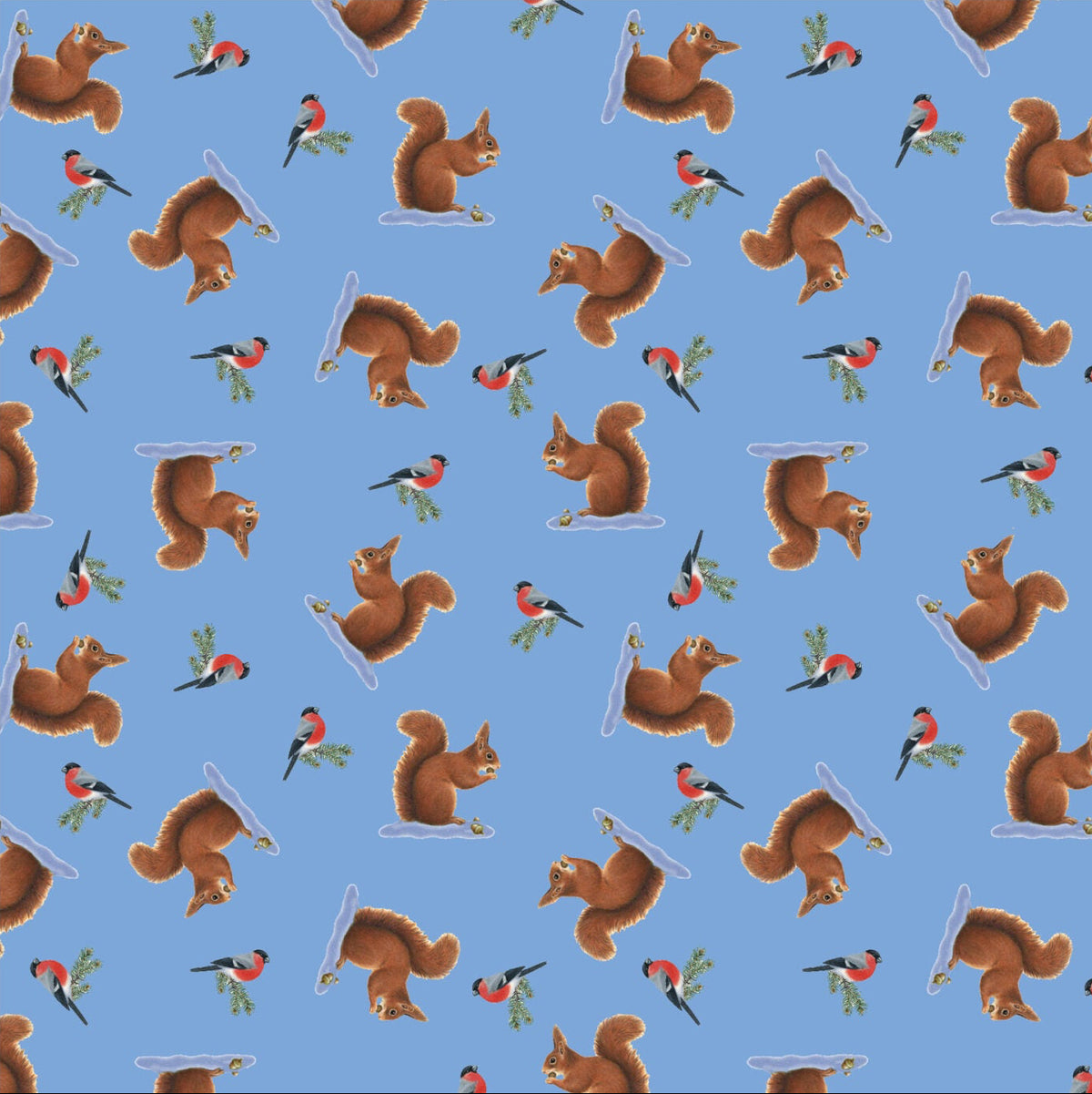 Lewis & Irene | Tomtens Forest Friends | Squirrels - Light Blue £7pm