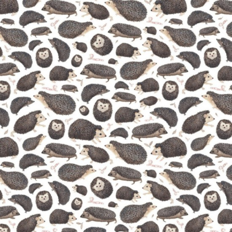 Nutex | In The Forest | Hedgehogs £14pm