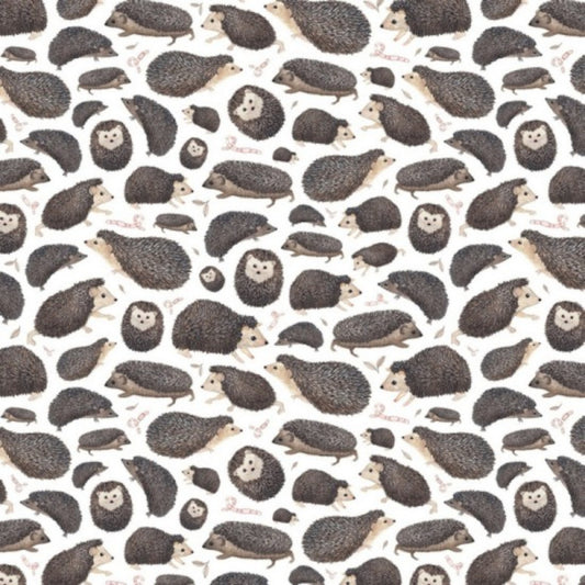Nutex | In The Forest | Hedgehogs £14pm