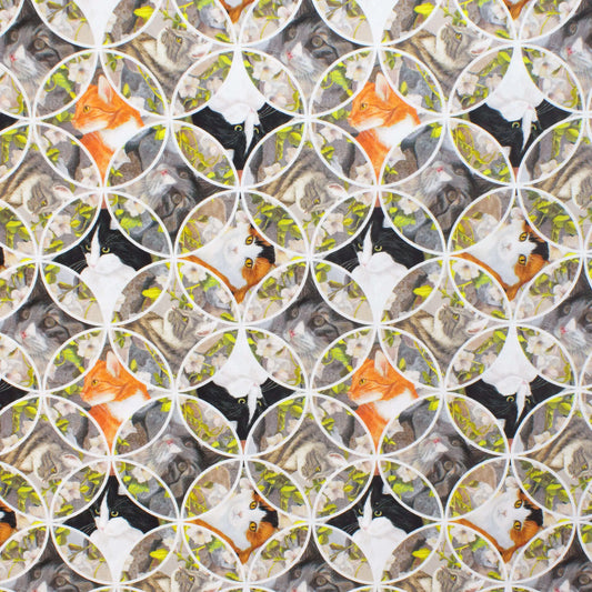 Studio E | Whiskars Among Petals | Cat Circles £16pm