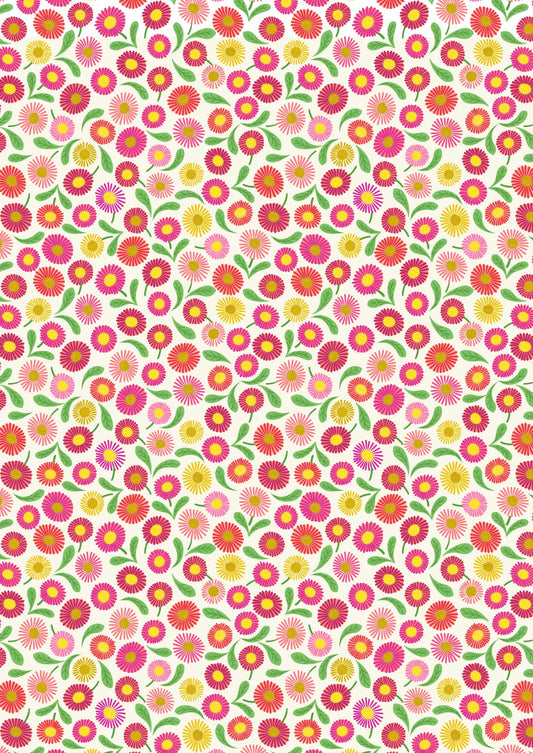 Lewis & Irene | Spring Flowers | Daisies - Cream £7pm