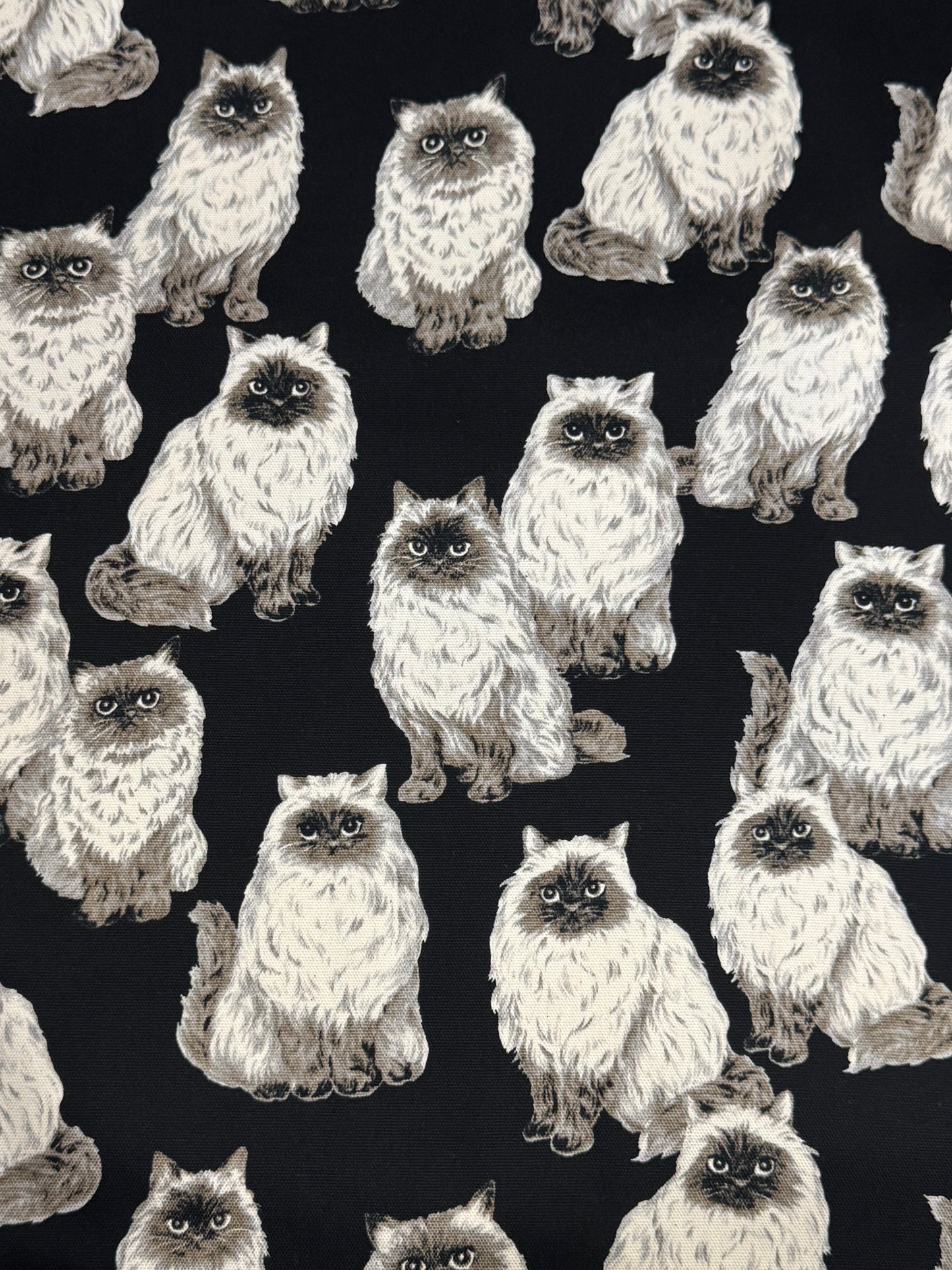 Sevenberry | Persian Cats - Black £16pm