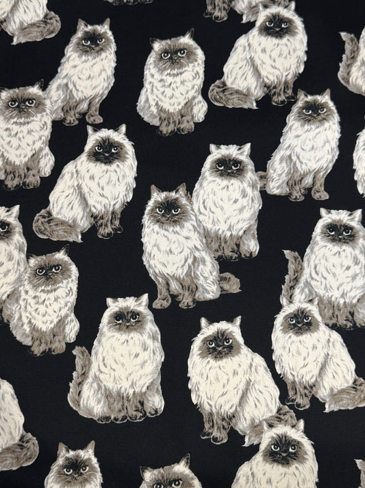 Sevenberry | Persian Cats - Black £16pm