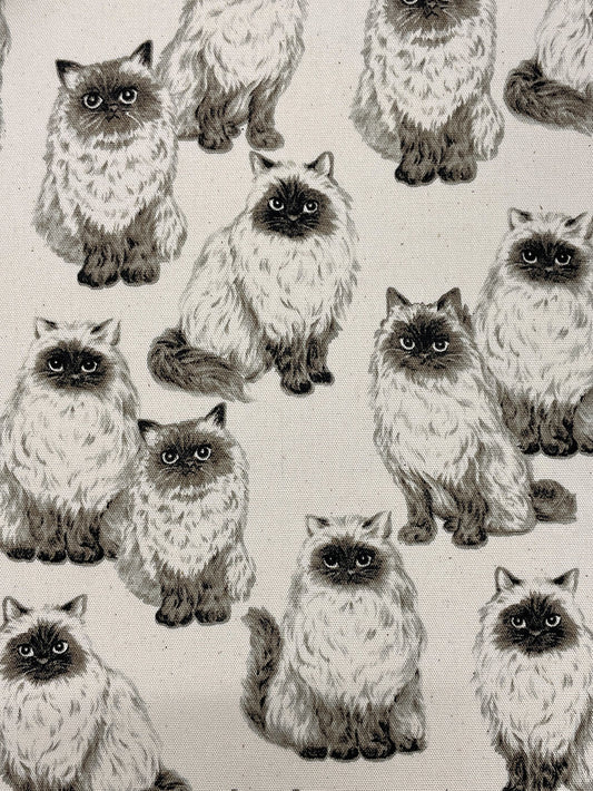 Sevenberry | Persian Cats - Natural £16pm